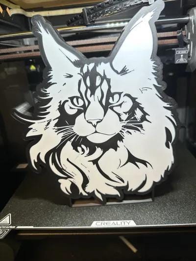 Tier Katze Maine Coon Lampe