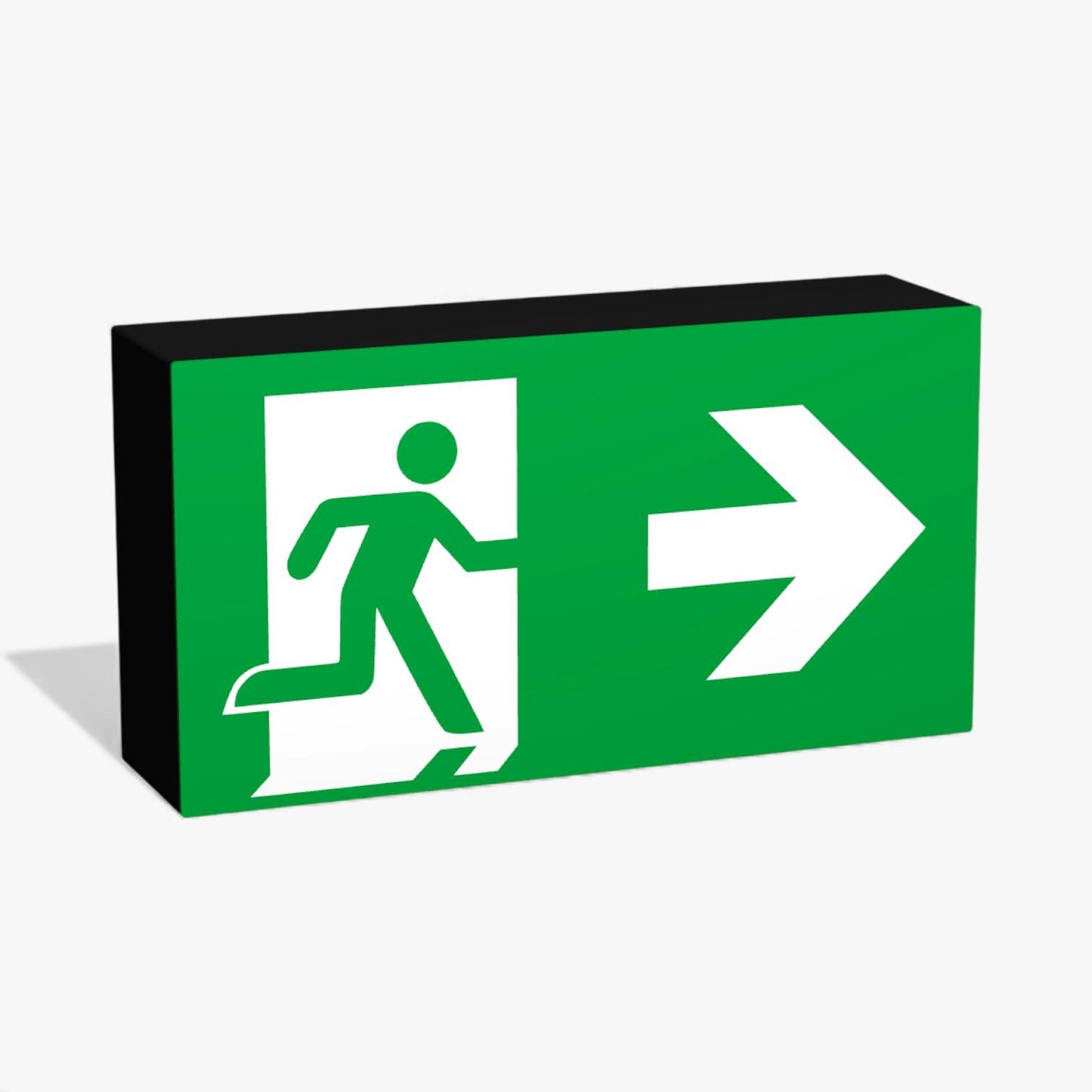 Rettungsweg Notausgang E002 Rettungsausstieg Rettungszeichen ASR-Zeichen Lampe