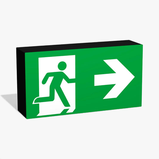 Rettungsweg Notausgang E002 Rettungsausstieg Rettungszeichen ASR-Zeichen Lampe